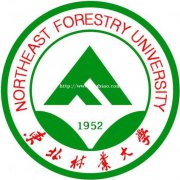 东北林业大学自考专升本软件工程专业带学位一年可考完